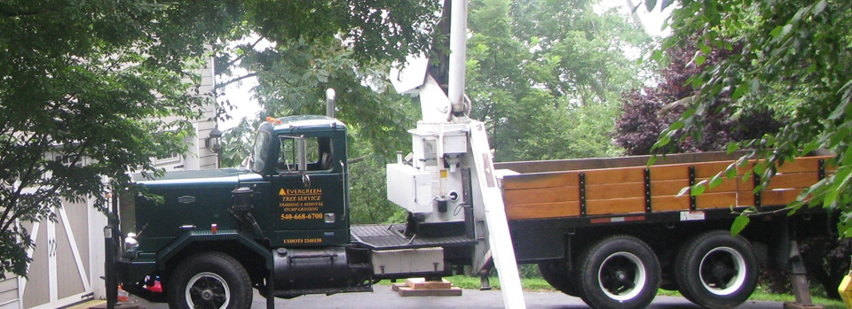 Tree Service with Autocar Crane