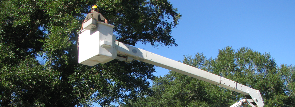 Bucket Truck Giles County