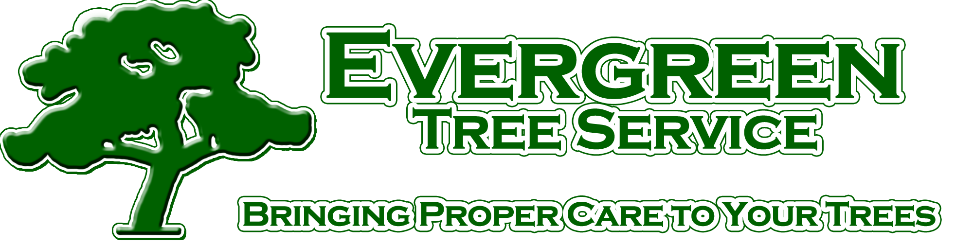 Evergreen Tree Service Mobile Alabama