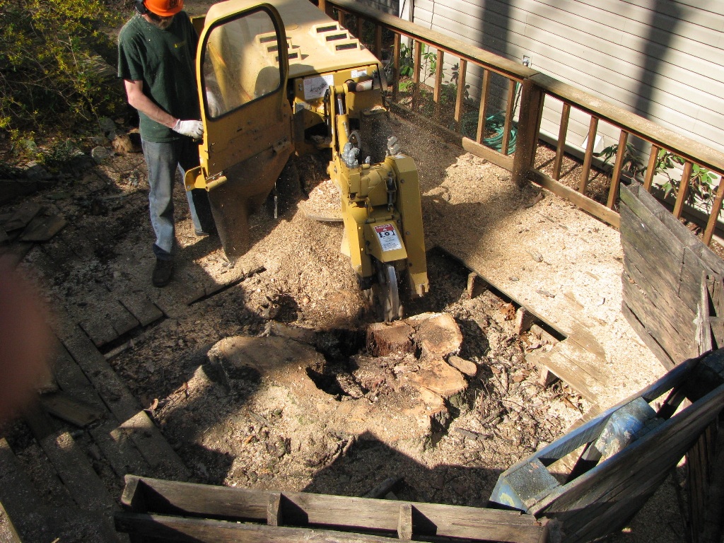 Stump Removal and Grinding